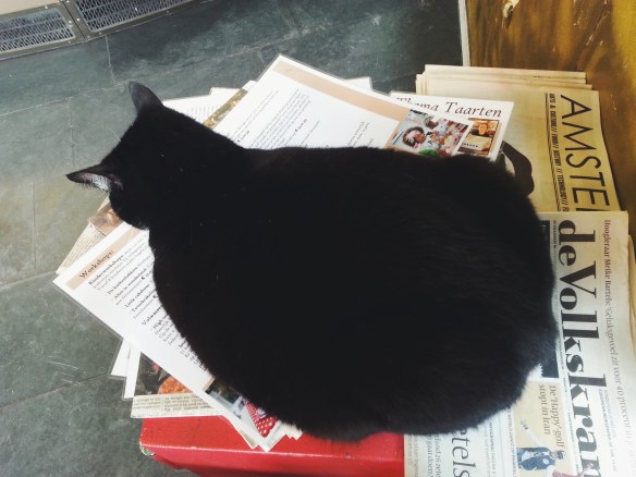 Processed with VSCOcam with f2 preset